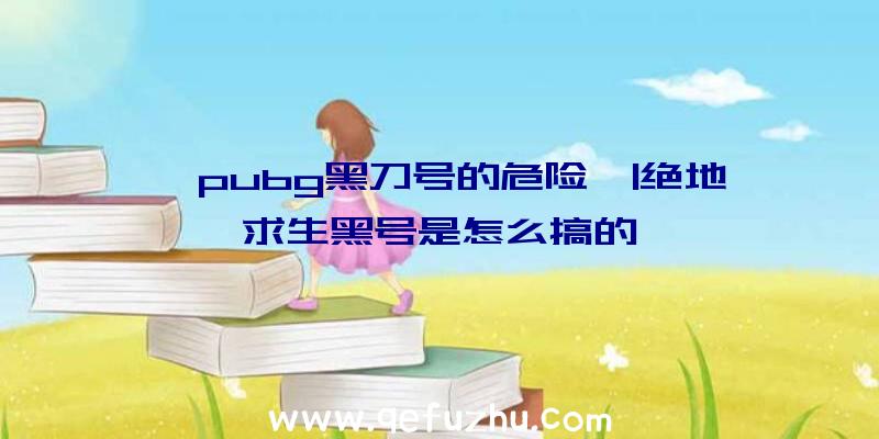 「pubg黑刀号的危险」|绝地求生黑号是怎么搞的